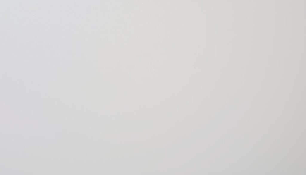durable latex wall paint for DR Horton homes